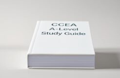 CCEA A Level: Expert Guide & Common Mistakes | Getutor HK